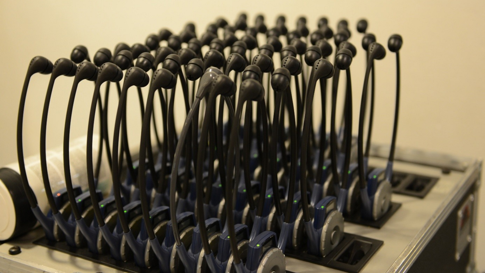 Le bilinguisme dans les associations cantonales de gymnastique de Fribourg et du Valais : une richesse… et un défi administratif