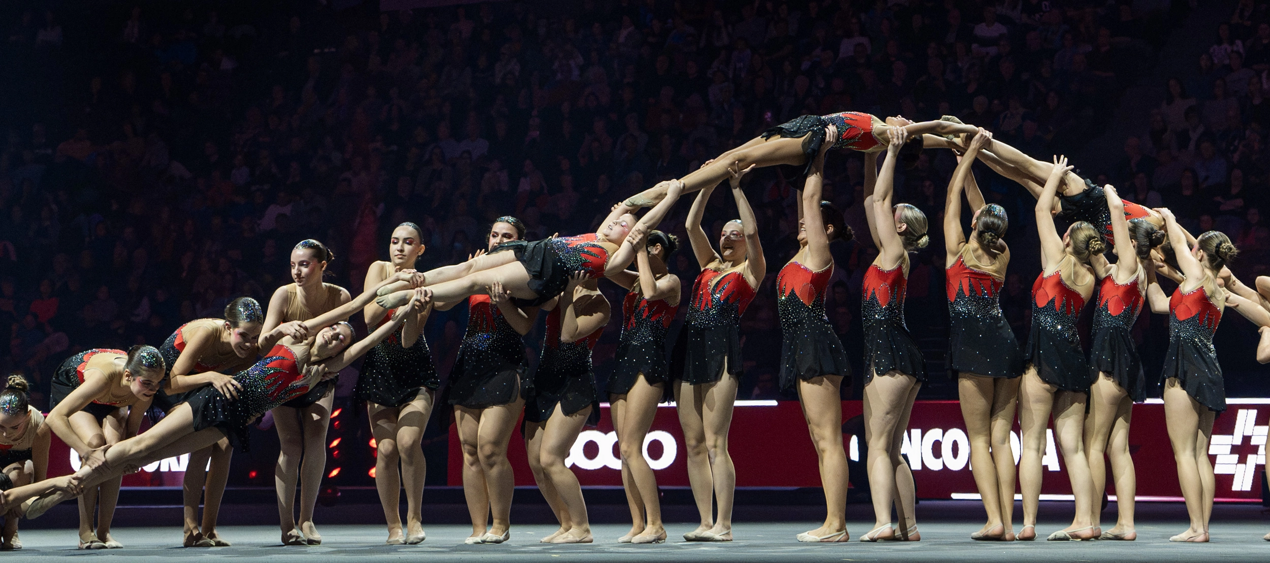 Gymotion 2026